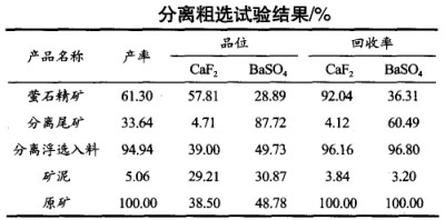 分離粗選試驗結(jié)果